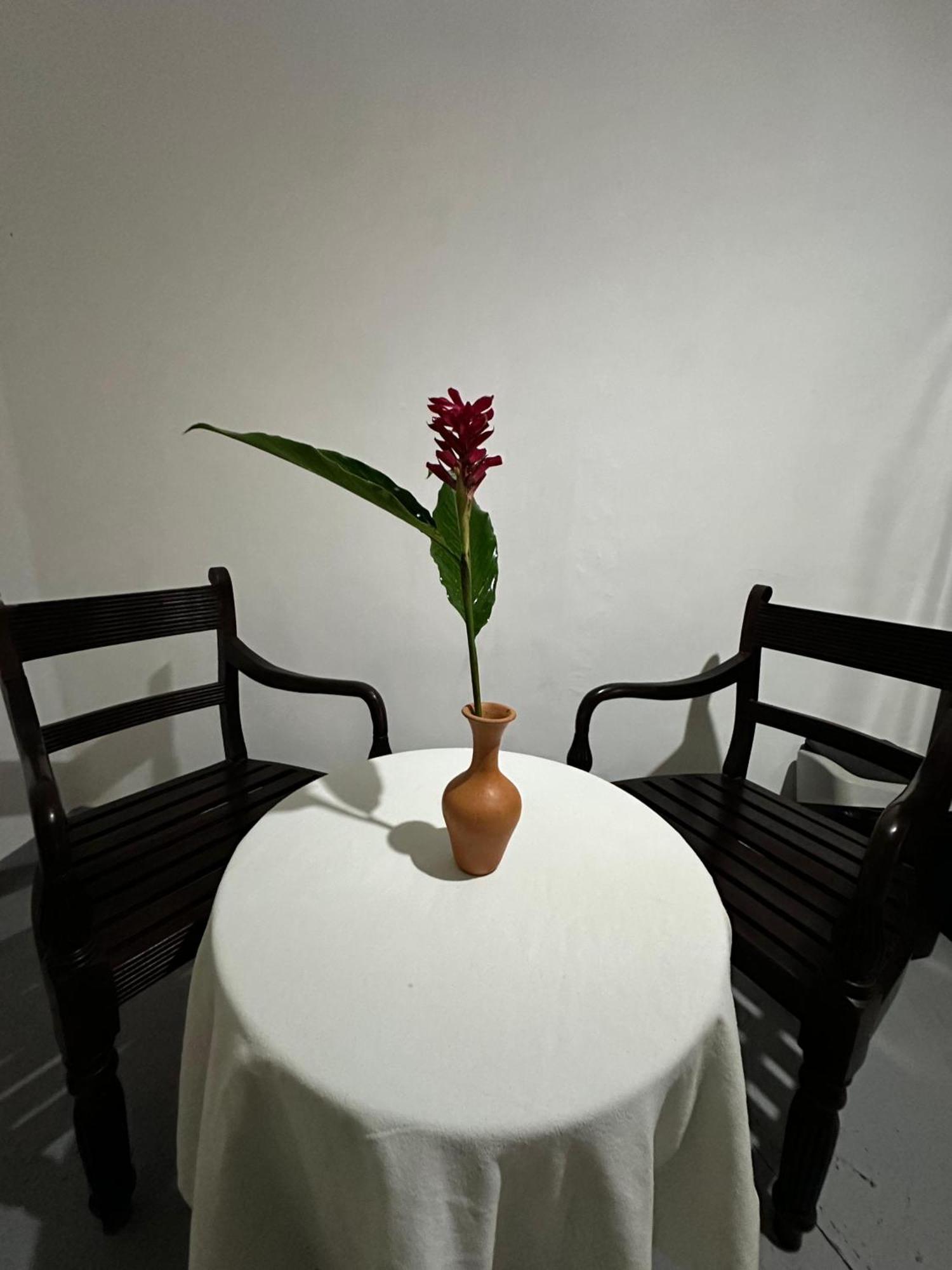 ヒッカドゥワCasa Del Ceylonアパートメント エクステリア 写真
